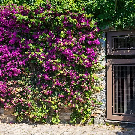 Bed & Breakfast Renalu 4*