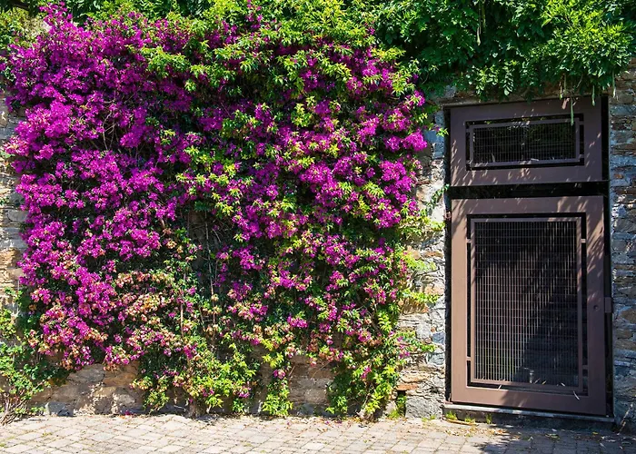 فندق مبيت وإفطار Renalu 4*